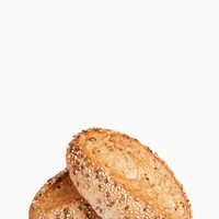Sesame Buns - Image 4