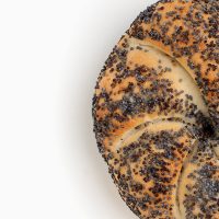 Poppy Bun - Image 4