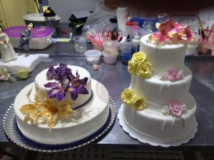 Avançado T5 By Gabby
