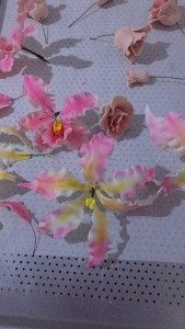 Avançado T6 By Gabby